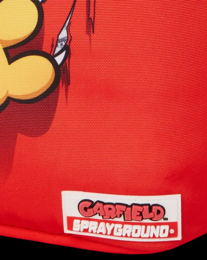 GARFIELD CAT SCRATCH (DLXR)